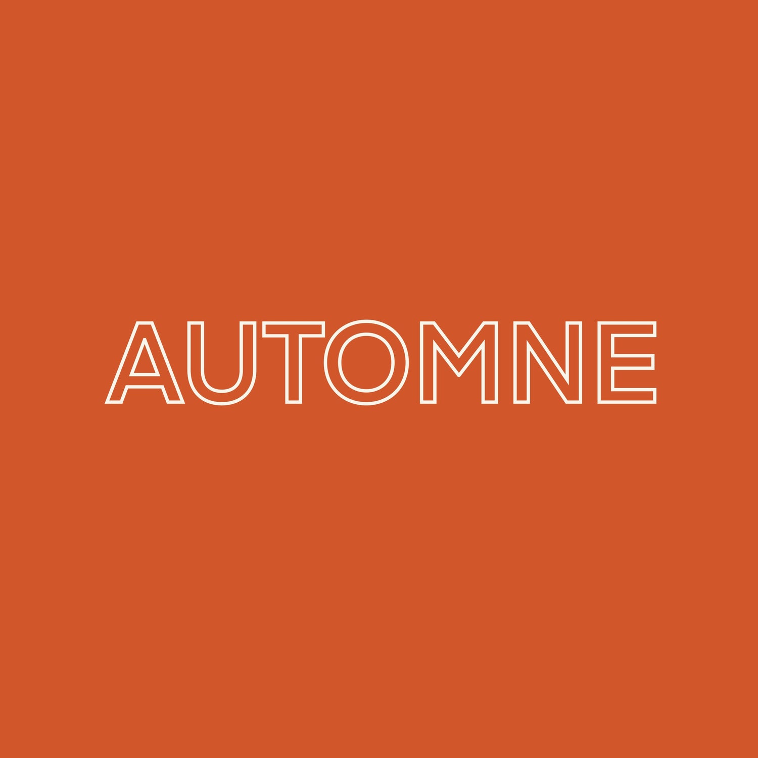 Stages vacances d'automne